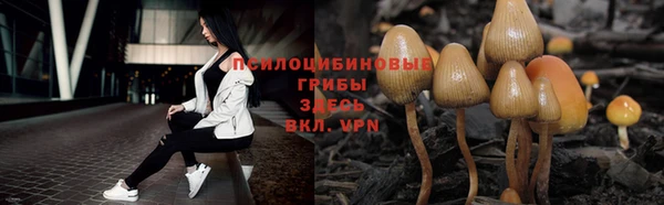 стафф Абаза