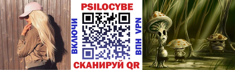 цены   Котлас  Псилоцибиновые грибы мухоморы 