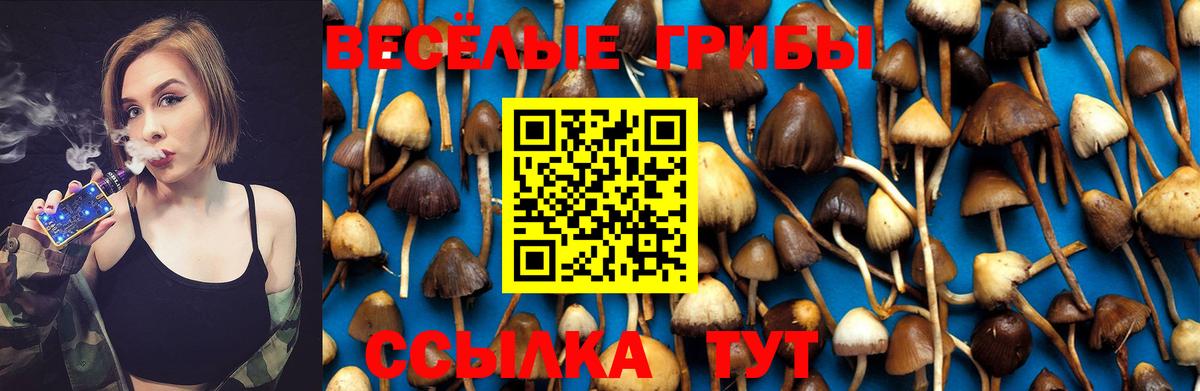 Псилоцибиновые грибы MAGIC MUSHROOMS Котлас